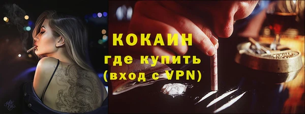 ешки Аркадак