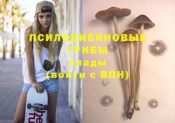 гидра Армянск